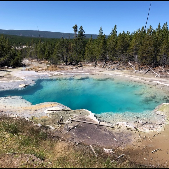 Meet your Posher, Estrella - Picture 1 of 1